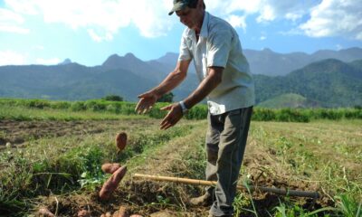 bndes-vai-liberar-r$-12-bi-para-produtores-rurais-com-perdas-de-safra