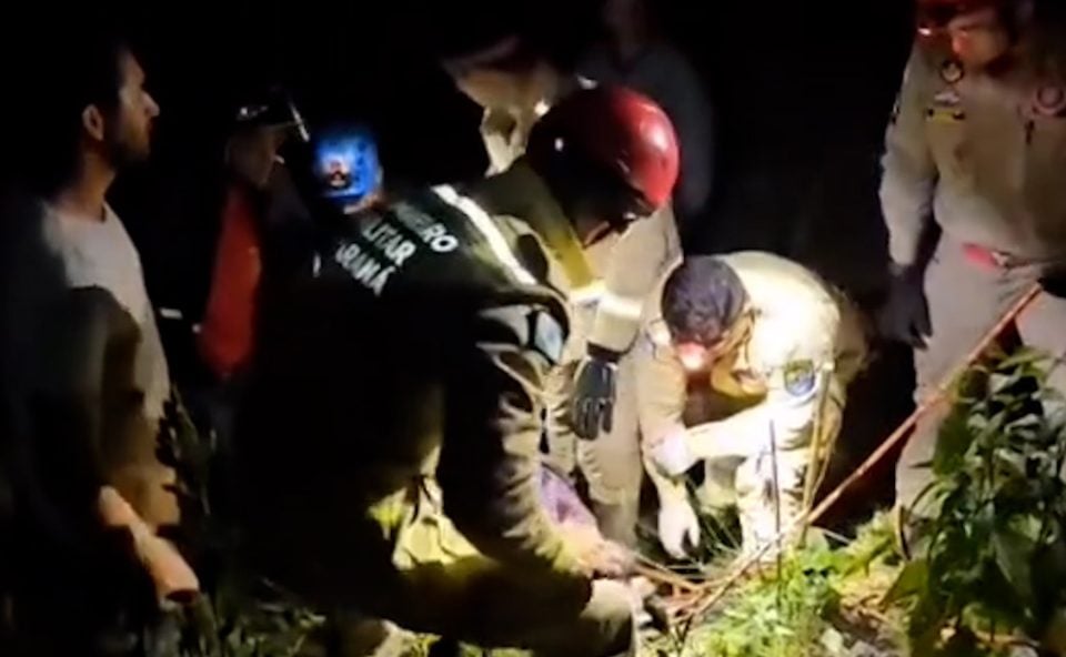 idoso-de-80-anos-passa-8h-a-espera-de-socorro-apos-cair-com-trator-em-barranco:-‘foi-milagre’,-diz-bombeiro-–-folha-de-dourados-–-noticias-de-dourados-ms-e-regiao