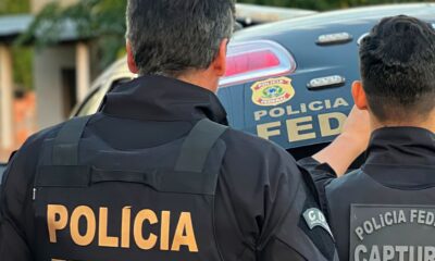 operacao-da-pf-em-guarulhos-impede-trafico-de-animais-silvestres