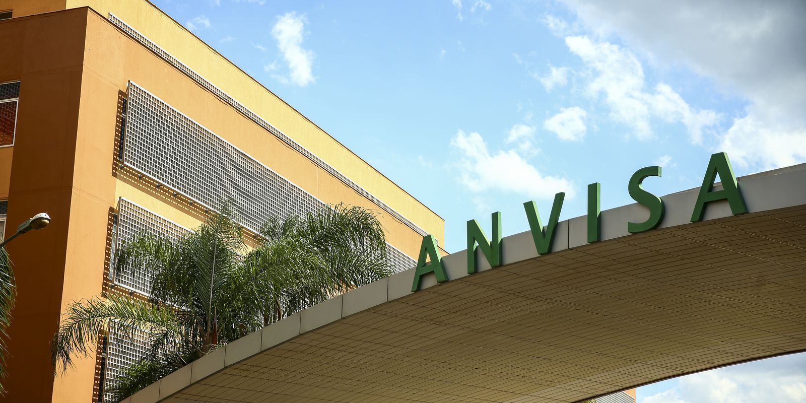 anvisa-restringe-venda-de-azeite,-sal-do-himalaia-e-cha;-confira