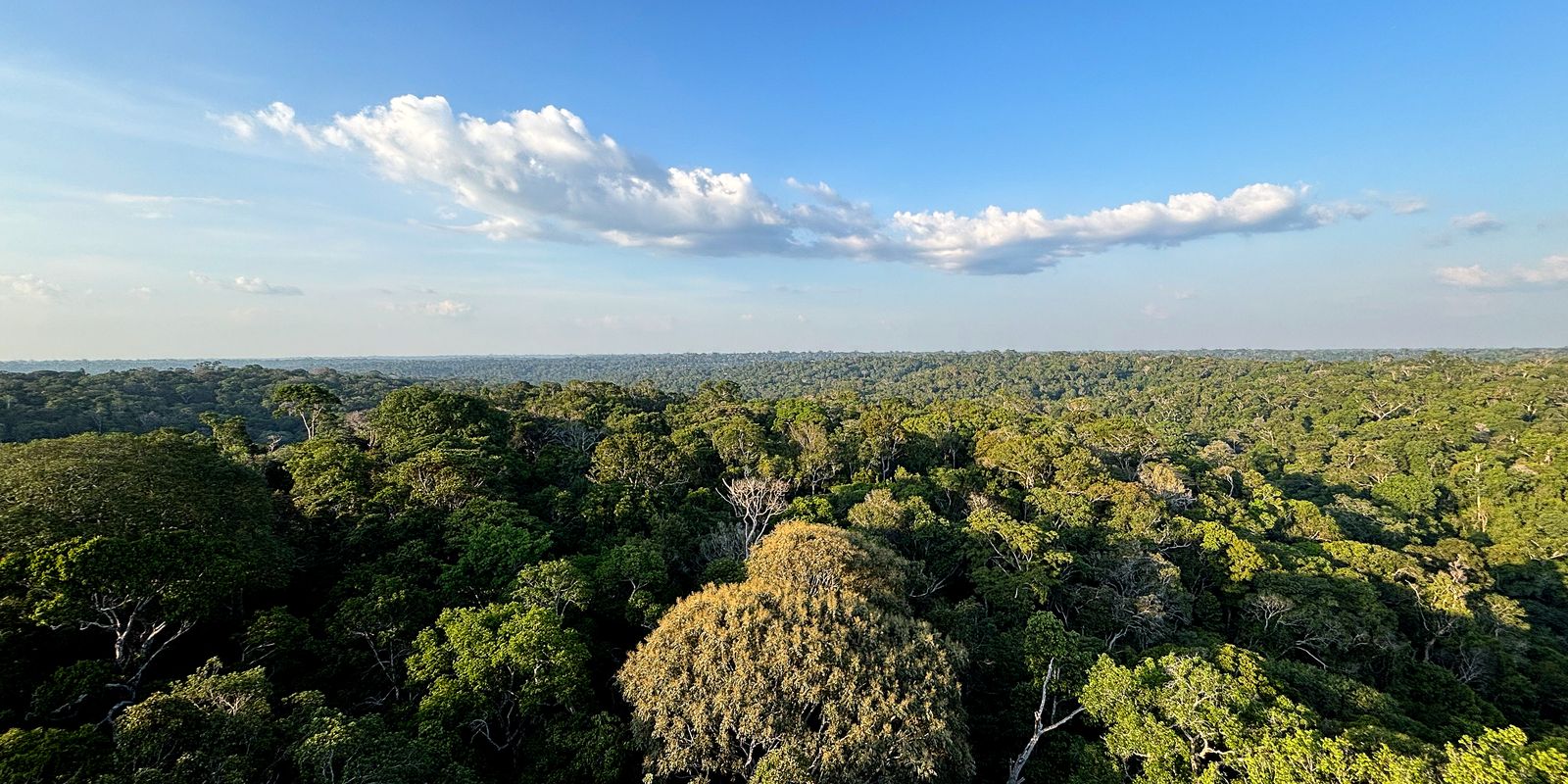 cop30:-o-que-e,-quando-acontece-e-o-que-sera-discutido-em-belem