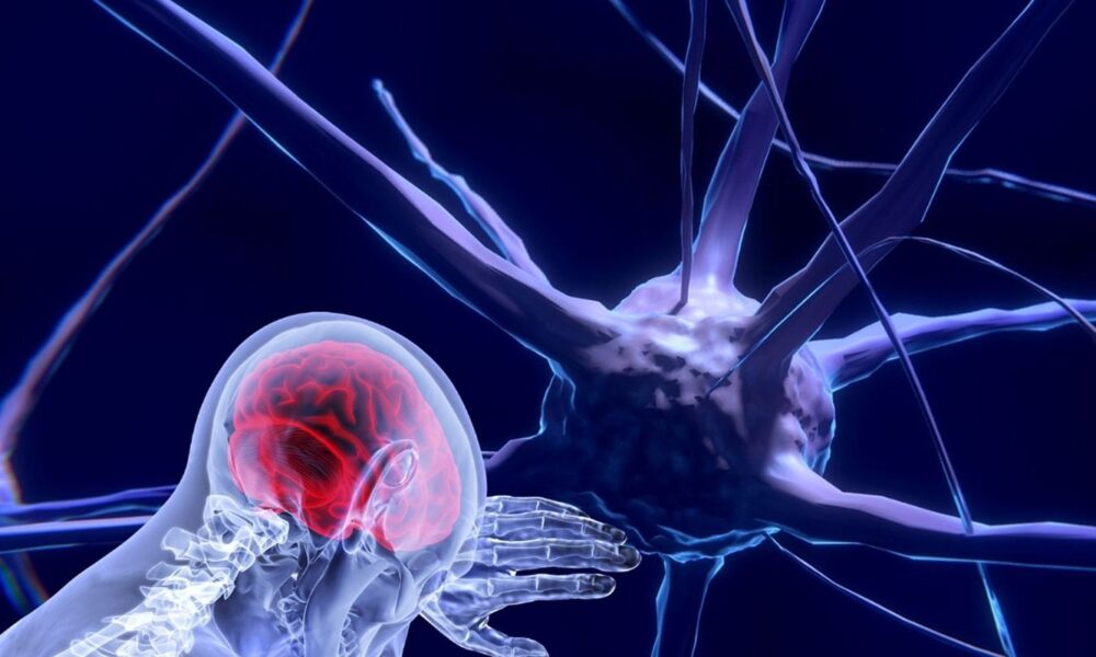 unesco-faz recomendacao-inedita-para-uso-etico-da-neurotecnologia