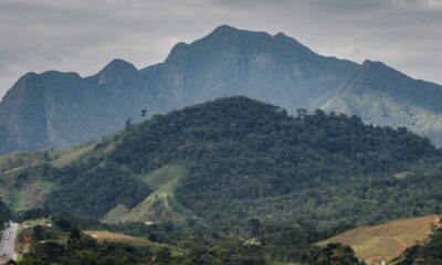 sos-mata-atlantica-mobiliza-setor-privado-para-conservacao-do-bioma