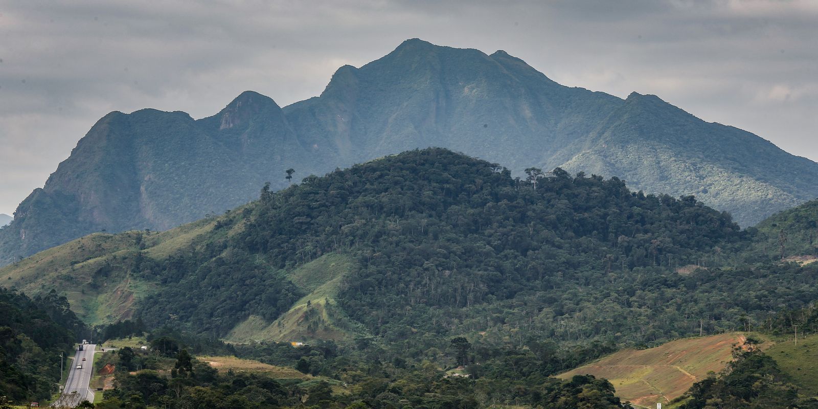 sos-mata-atlantica-mobiliza-setor-privado-para-conservacao-do-bioma