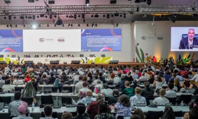 documentos-finais-da-cop30-fazem-mencao-inedita-a-afrodescendentes