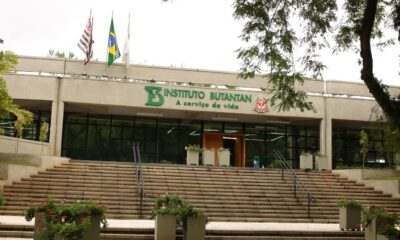 ms-aprova-parcerias-para-producao-de-medicamentos-destinados-ao-sus
