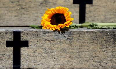 crimes-recentes-mostram-grave-cenario-de-violencia-contra-a-mulher