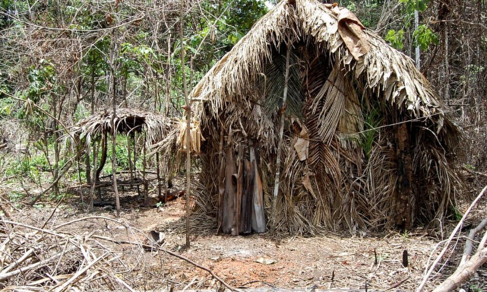 dpu-afirma-que-consulta-previa-nao-se-aplica-a-indigenas-isolados