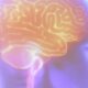 projeto-artemis-avalia-genetica-de-pacientes-que-sofreram-avc