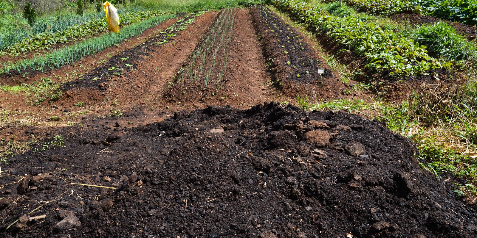 cmn-amplia-socorro-a-produtores-afetados-pelo-clima