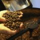 exportacao-de-cafe-do-brasil-cai-em-2025,-mas-bate-recorde-em-receita
