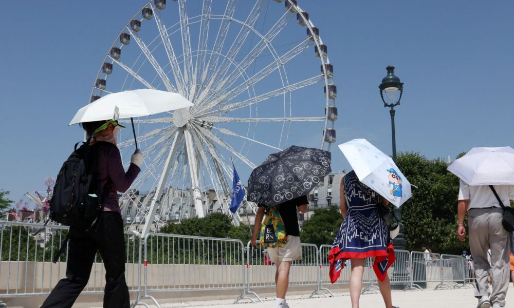 europa:-temperatura-alta-pode-elevar-transmissao-do-virus-chikungunya