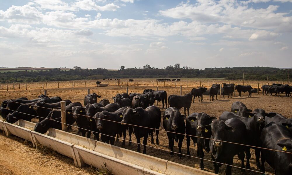 atividade-economica-brasileira-cresce-2,5%-em-2025