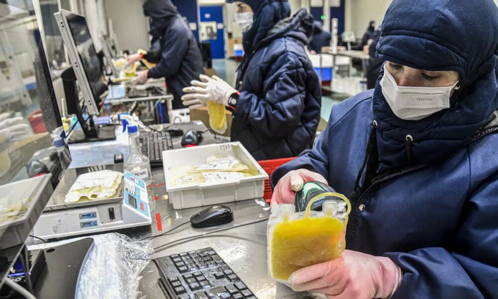 dia-mundial-da-hemofilia:-campanha-reforca-importancia-do-diagnostico