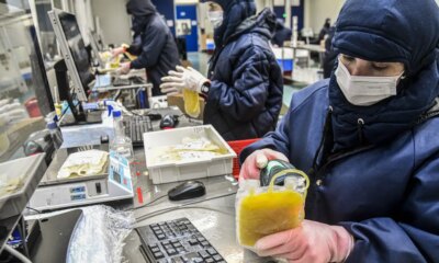 dia-mundial-da-hemofilia:-campanha-reforca-importancia-do-diagnostico