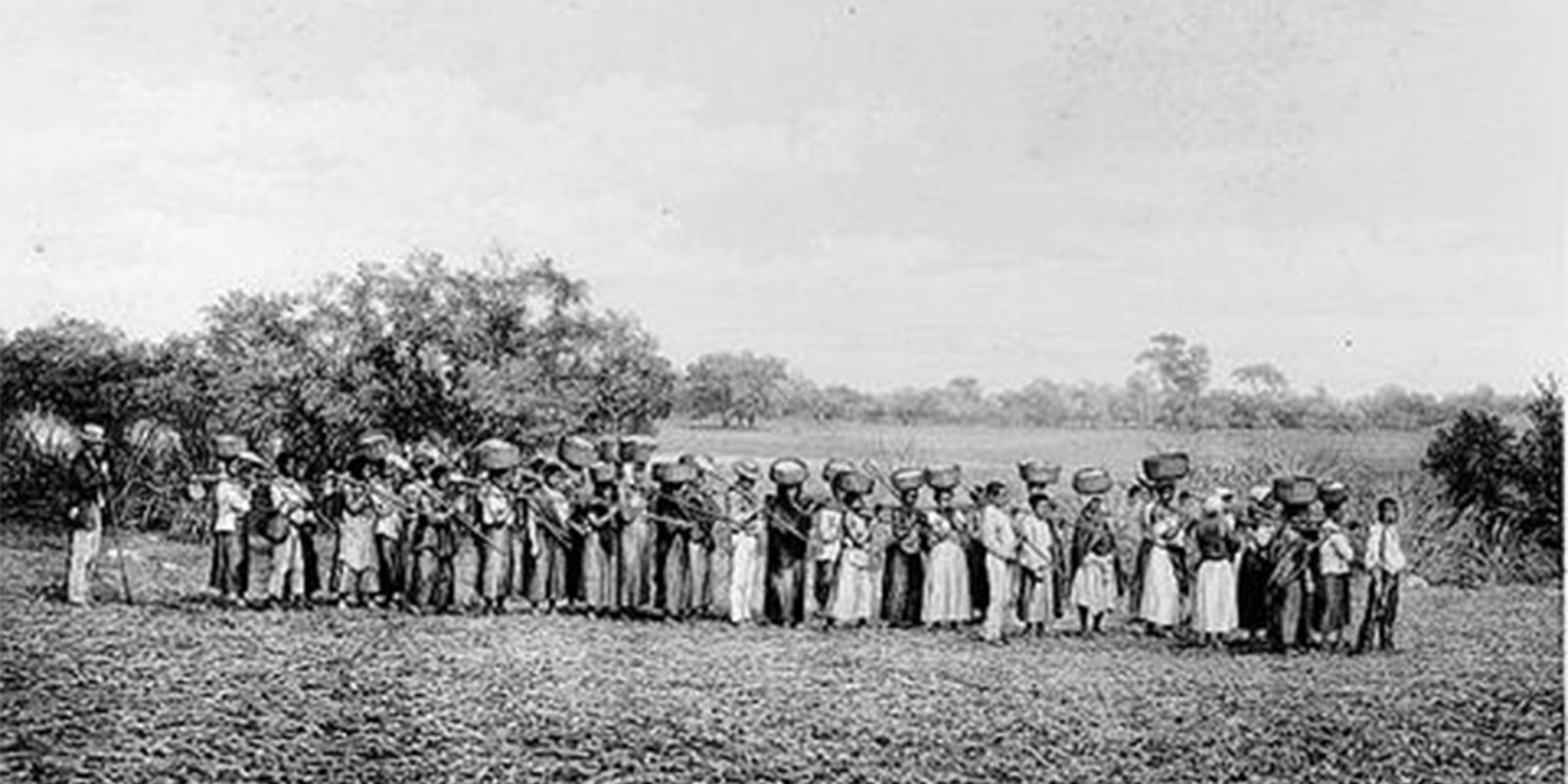 maioria-de-empresarios-que-apoiou-ditadura-vem-de-familias-escravistas