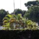 criminalizacao-de-criticas-ao-governo-de-israel-preocupa-especialistas