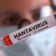 duas-pessoas-retiradas-de-navio-testam-positivo-para-o-hantavirus