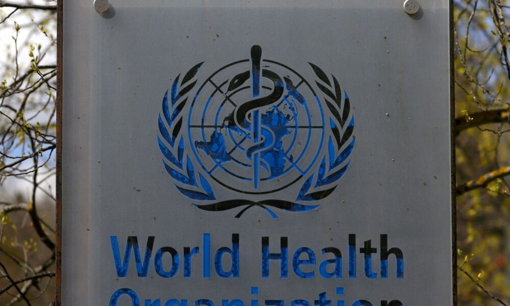 hantavirus:-oms-confirma-oito-casos-de-cepa-que-causou-surto-em-navio