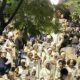lavagem-da-escadaria-do-bixiga-reafirma-presenca-negra-no-centro-de-sp