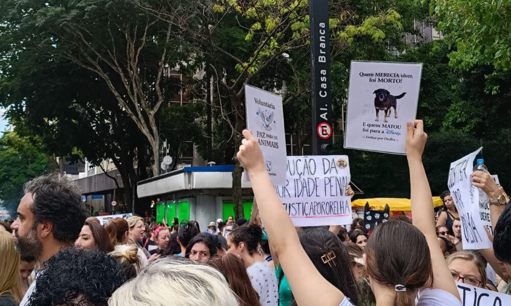 cao-orelha:-justica-arquiva-caso-a-pedido-do-ministerio-publico