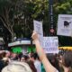 cao-orelha:-justica-arquiva-caso-a-pedido-do-ministerio-publico