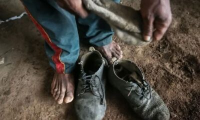 senado-aprova-protecao-a-trabalhadores-resgatados-de-trabalho-escravo