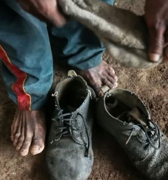 senado-aprova-protecao-a-trabalhadores-resgatados-de-trabalho-escravo